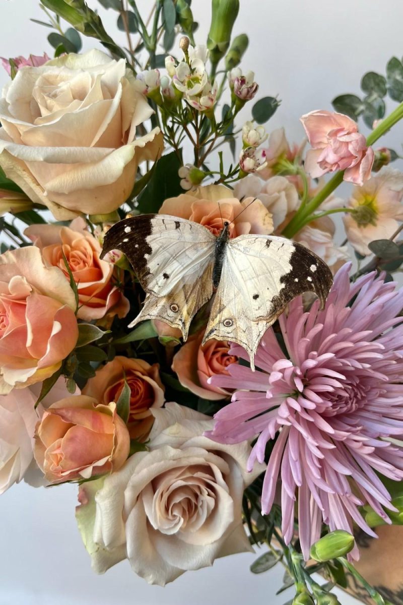 Fresh Floral |   Floral Arrangement Butterflies Floral Fresh Floral