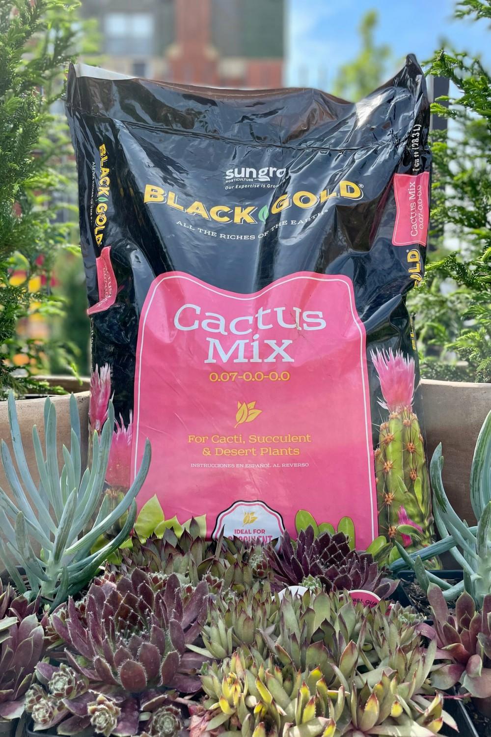 Garden Accessories |   Black Gold Cactus Mix 1 Cubic Foot Garden Garden Accessories