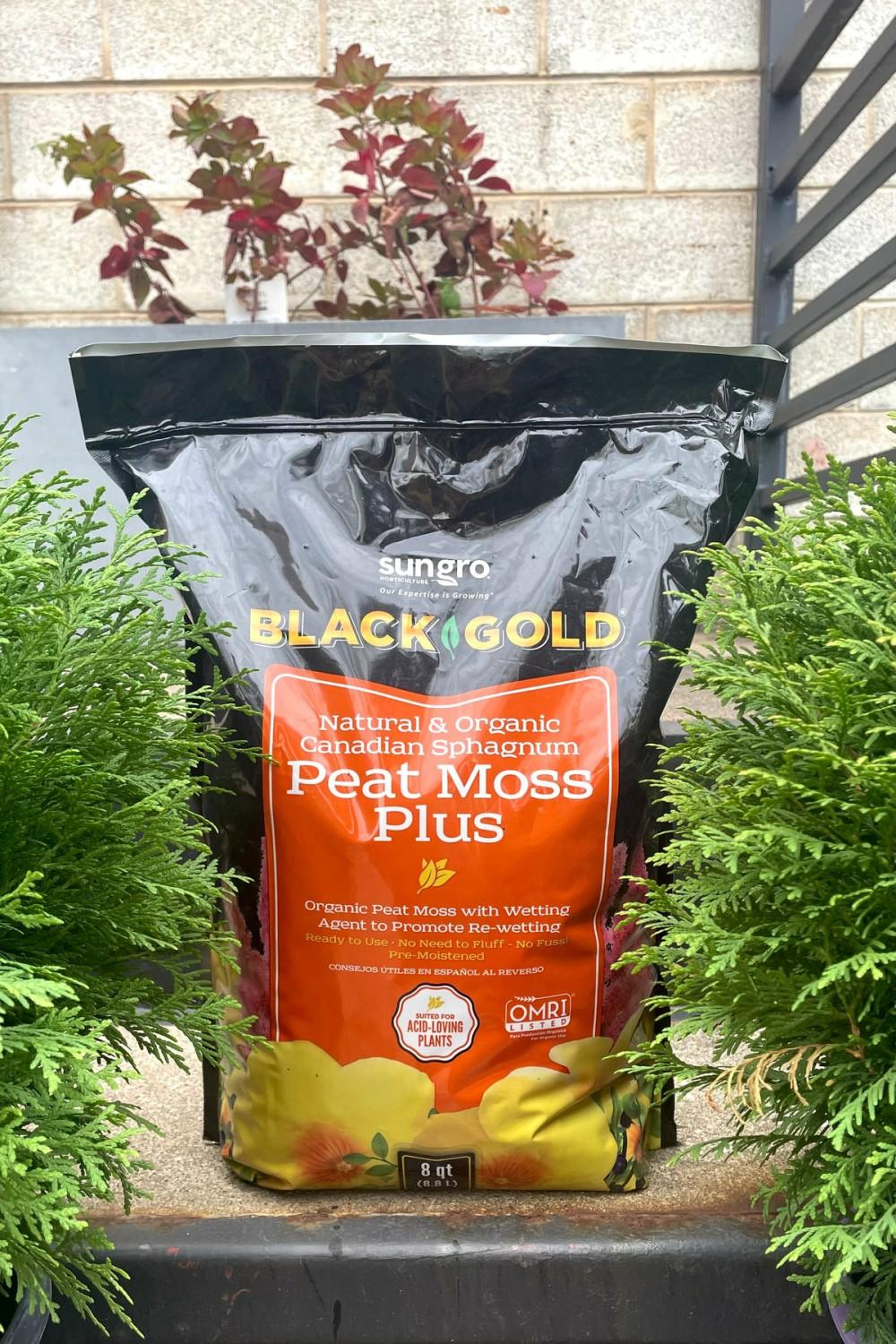 Garden Accessories |   Black Gold Organic Peat Moss 8 Quart Garden Garden Accessories