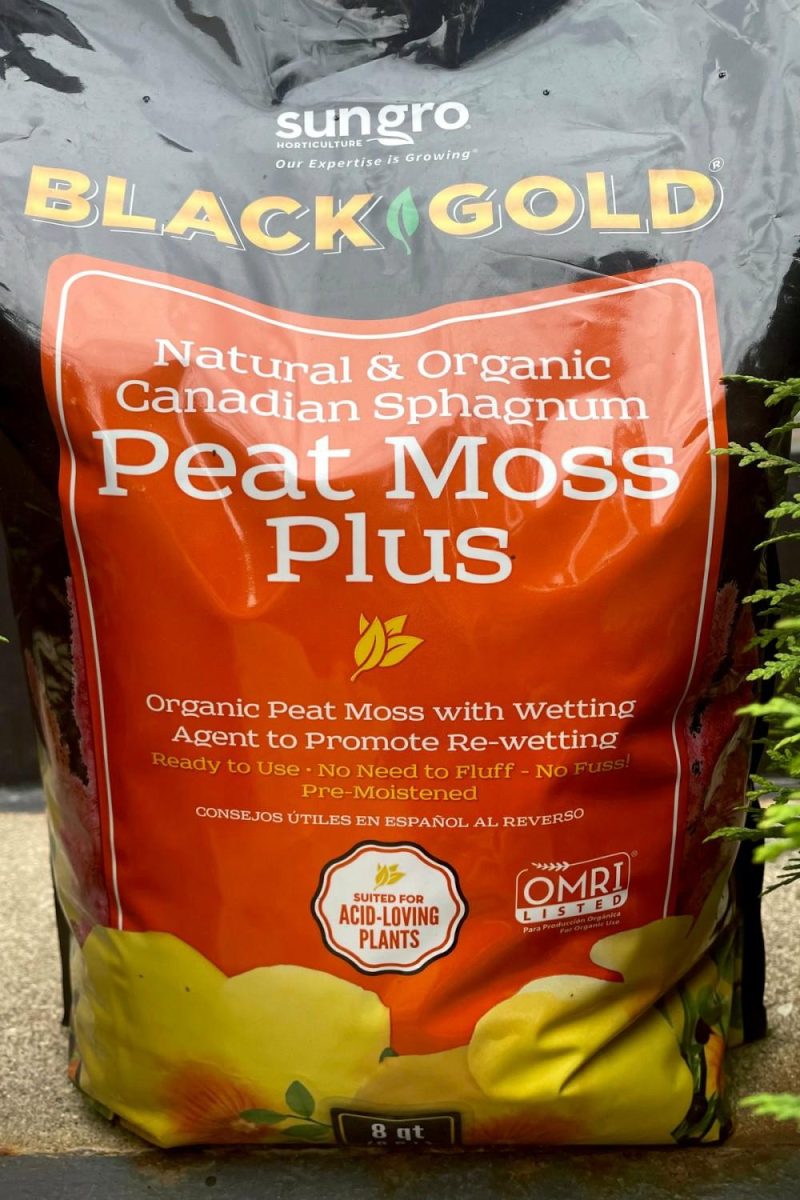 Garden Accessories |   Black Gold Organic Peat Moss 8 Quart Garden Garden Accessories