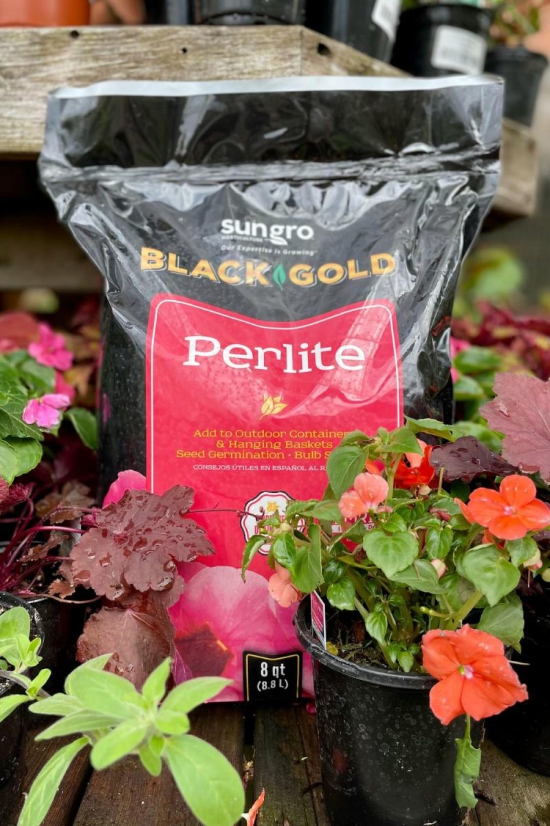 Garden Accessories |   Black Gold Perlite 8 Quart Garden Garden Accessories