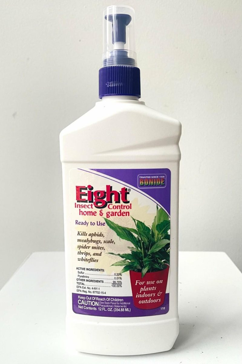 Garden Accessories |   Bonide Eight House Plant Insect Killer 12Oz Garden Garden Accessories