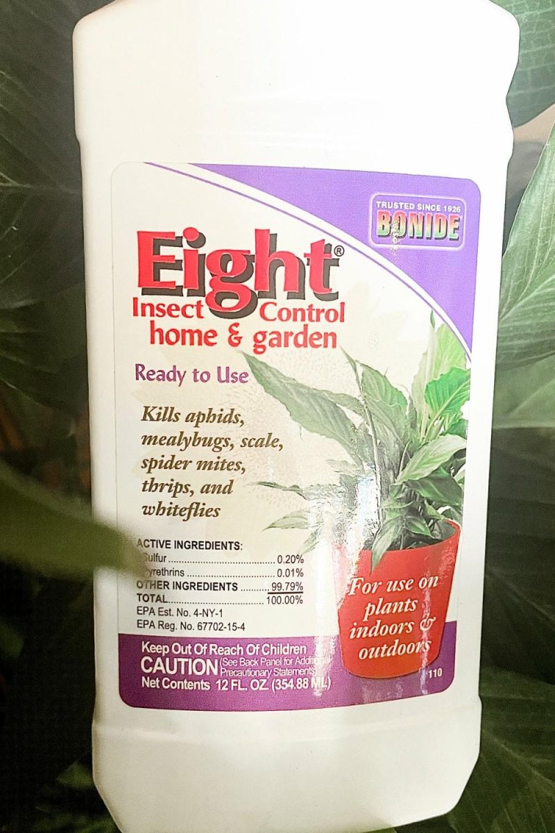 Garden Accessories |   Bonide Eight House Plant Insect Killer 12Oz Garden Garden Accessories