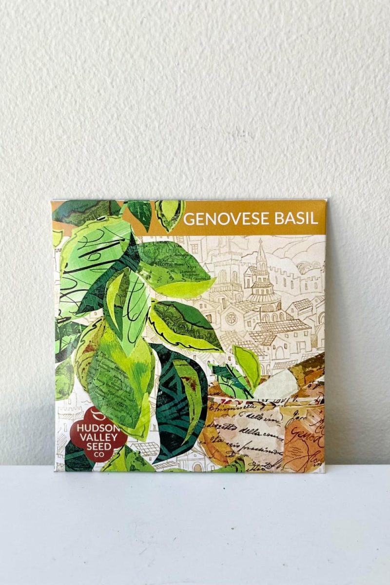 Garden Accessories |   Genovese Basil Seeds Art Pack Garden Garden Accessories