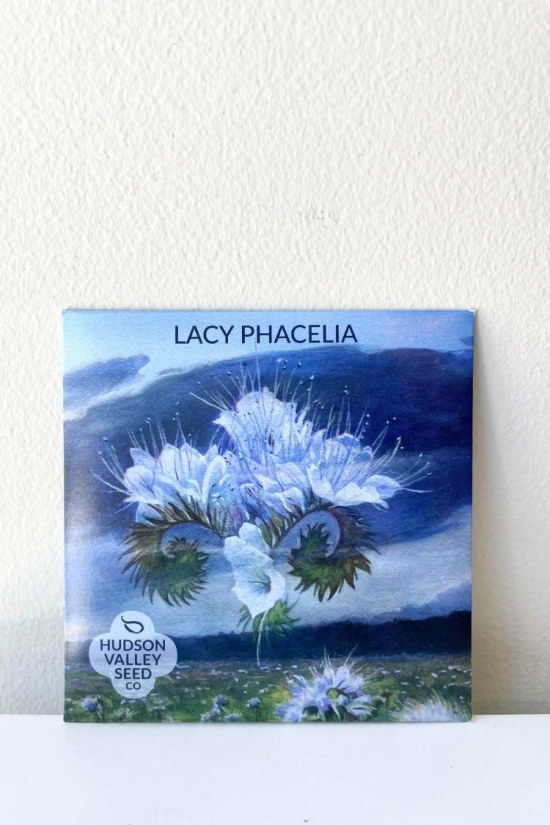 Garden Accessories |   Lacy Phacelia Seeds Art Pack Garden Garden Accessories