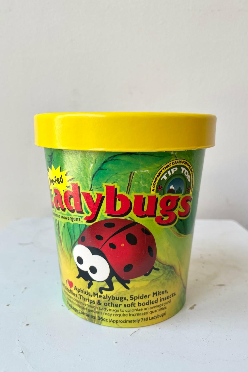 Garden Accessories |   Ladybugs 750 Count Garden Garden Accessories