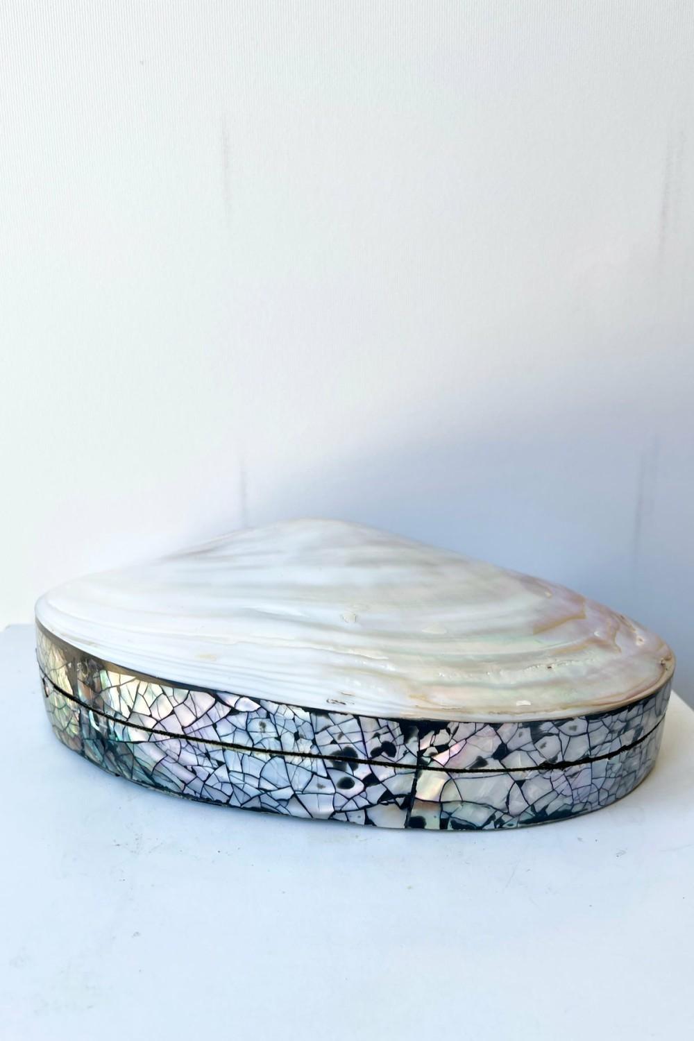 Home Accessories |   Shell Trinket Box Large Home Home Accessories