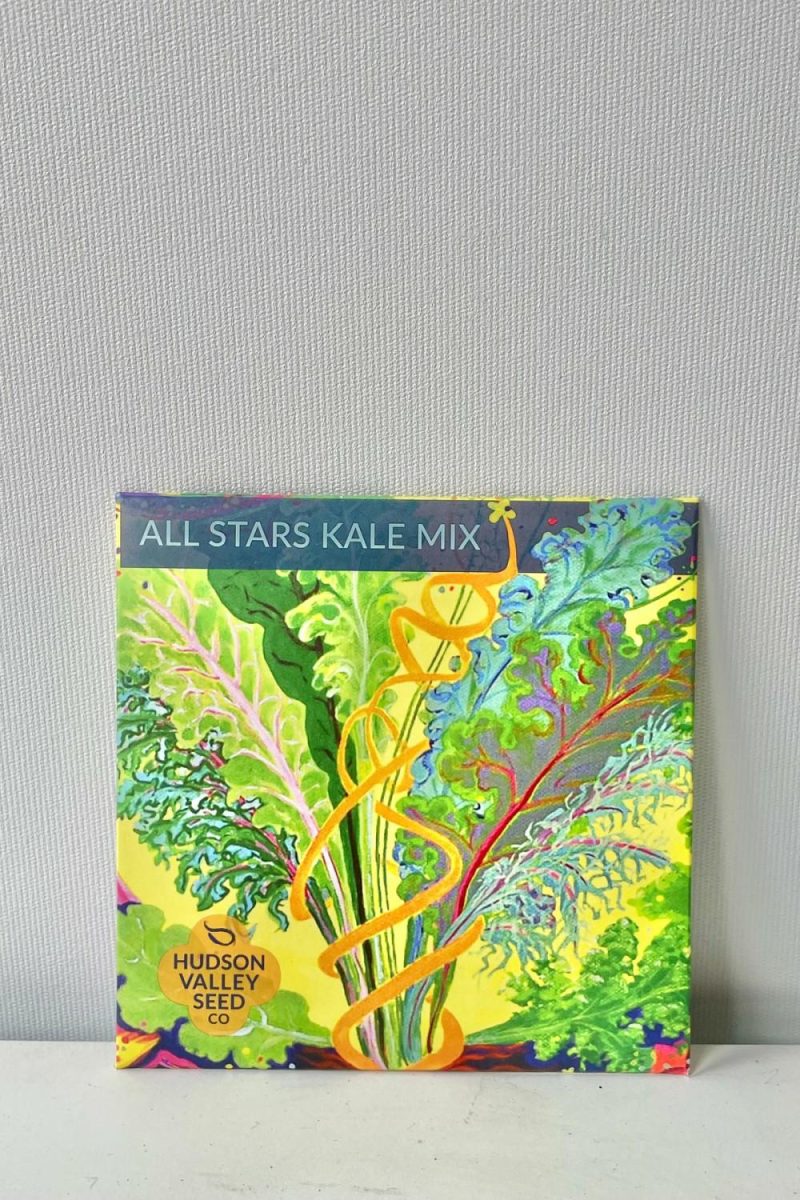 Outdoor Garden |   All Stars Kale Mix Art Pack Seeds Garden Outdoor Garden