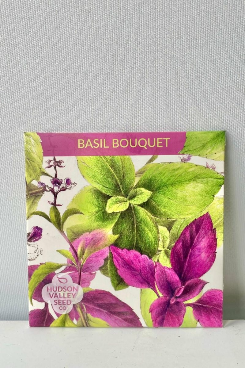 Outdoor Garden |   Basil Bouquet Art Pack Seeds Garden Outdoor Garden