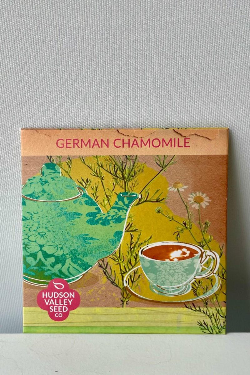 Outdoor Garden |   German Chamomile Seeds Art Pack Garden Outdoor Garden