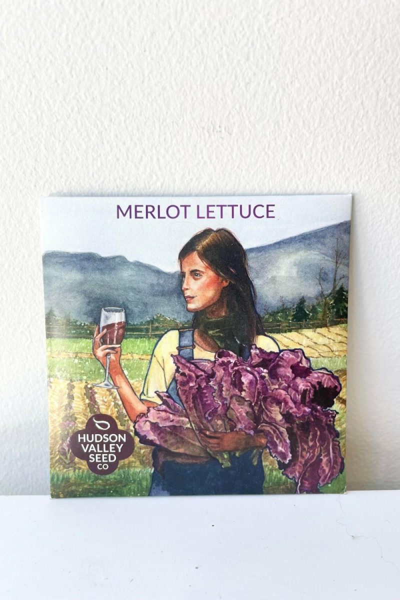 Outdoor Garden |   Merlot Lettuce Seeds Art Pack Garden Outdoor Garden