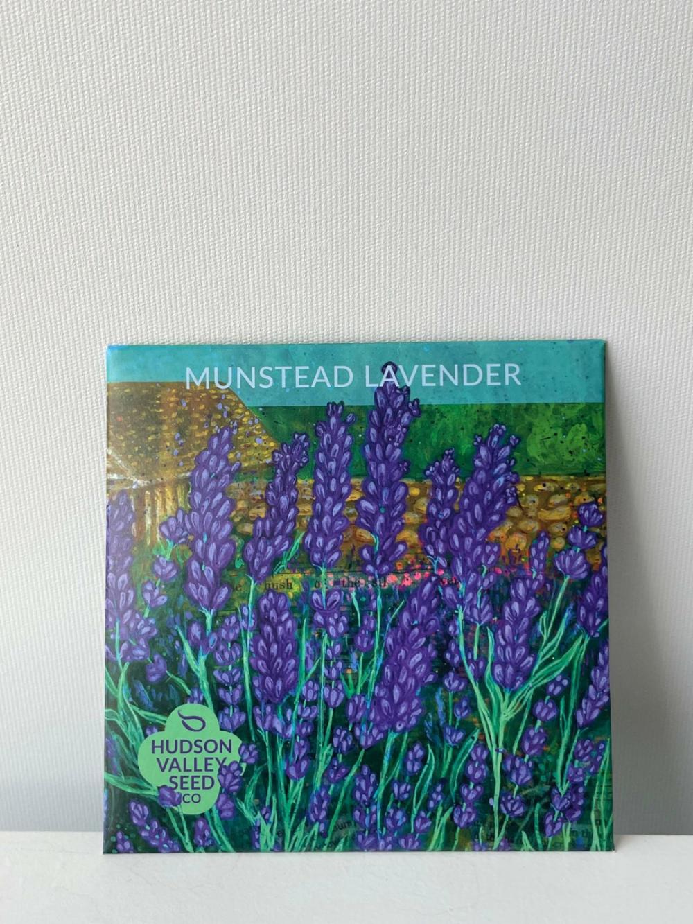 Outdoor Garden |   Munstead Lavender Seeds Art Pack Garden Outdoor Garden