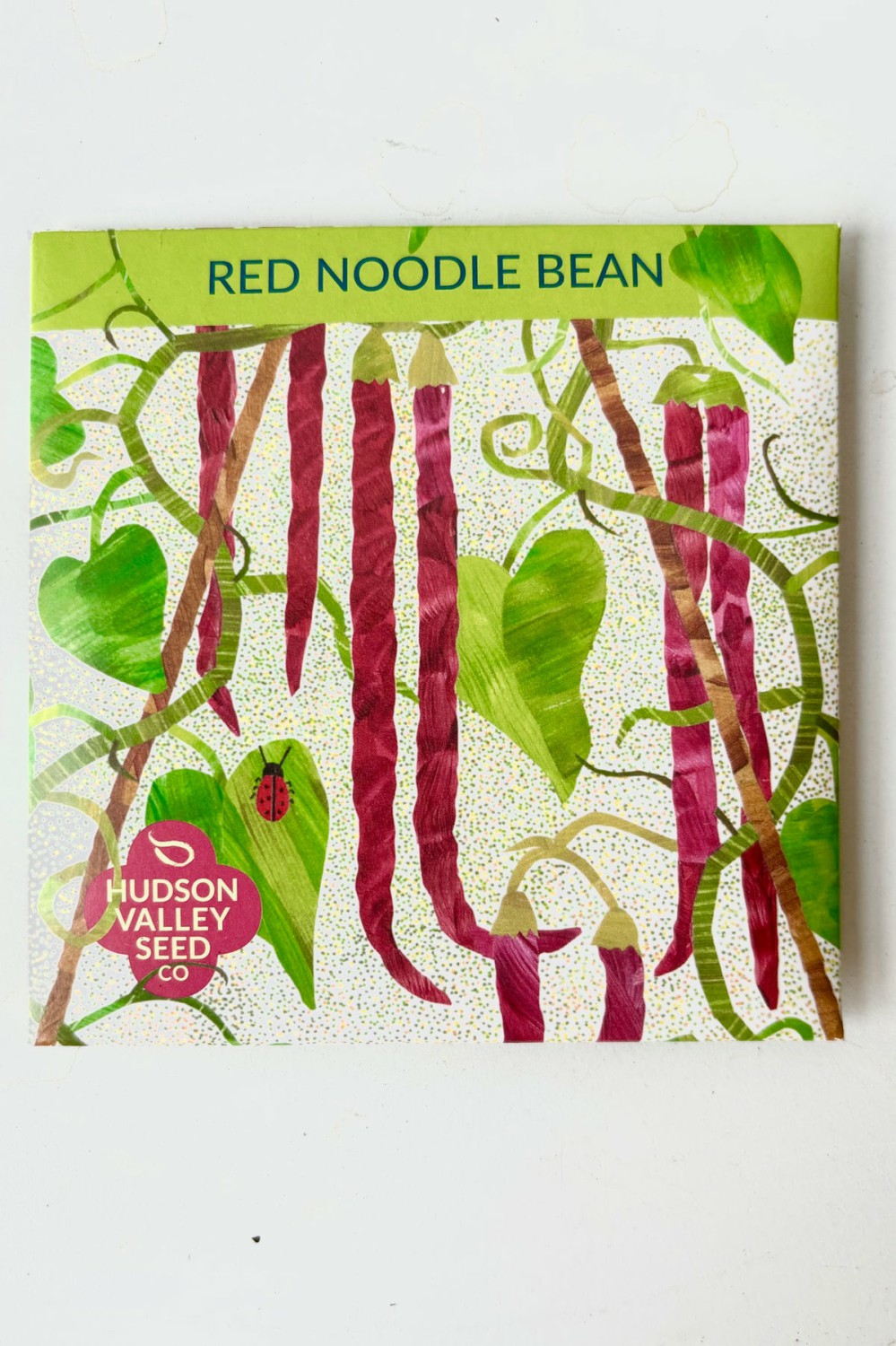 Outdoor Garden |   Red Noodle Bean Art Pack Seeds Garden Outdoor Garden