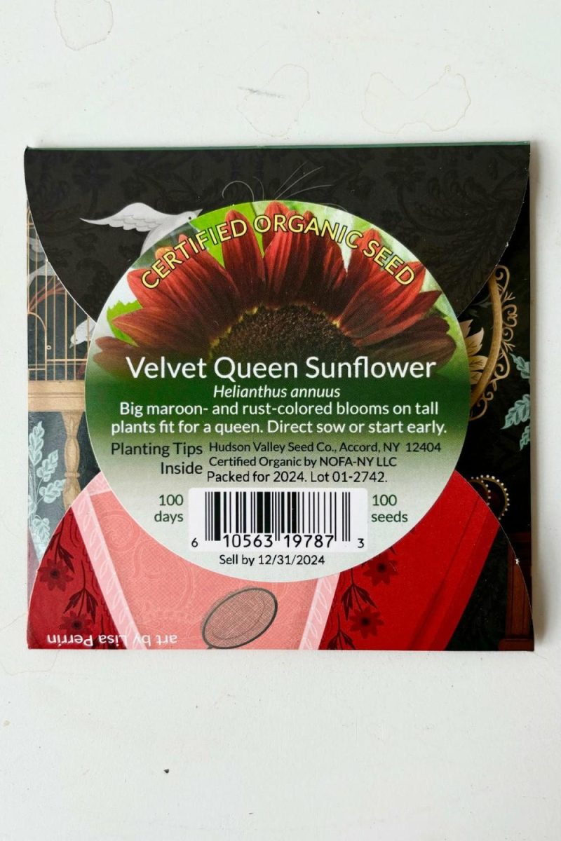 Outdoor Garden |   Velvet Queen Sunflower Art Pack Seeds Garden Outdoor Garden