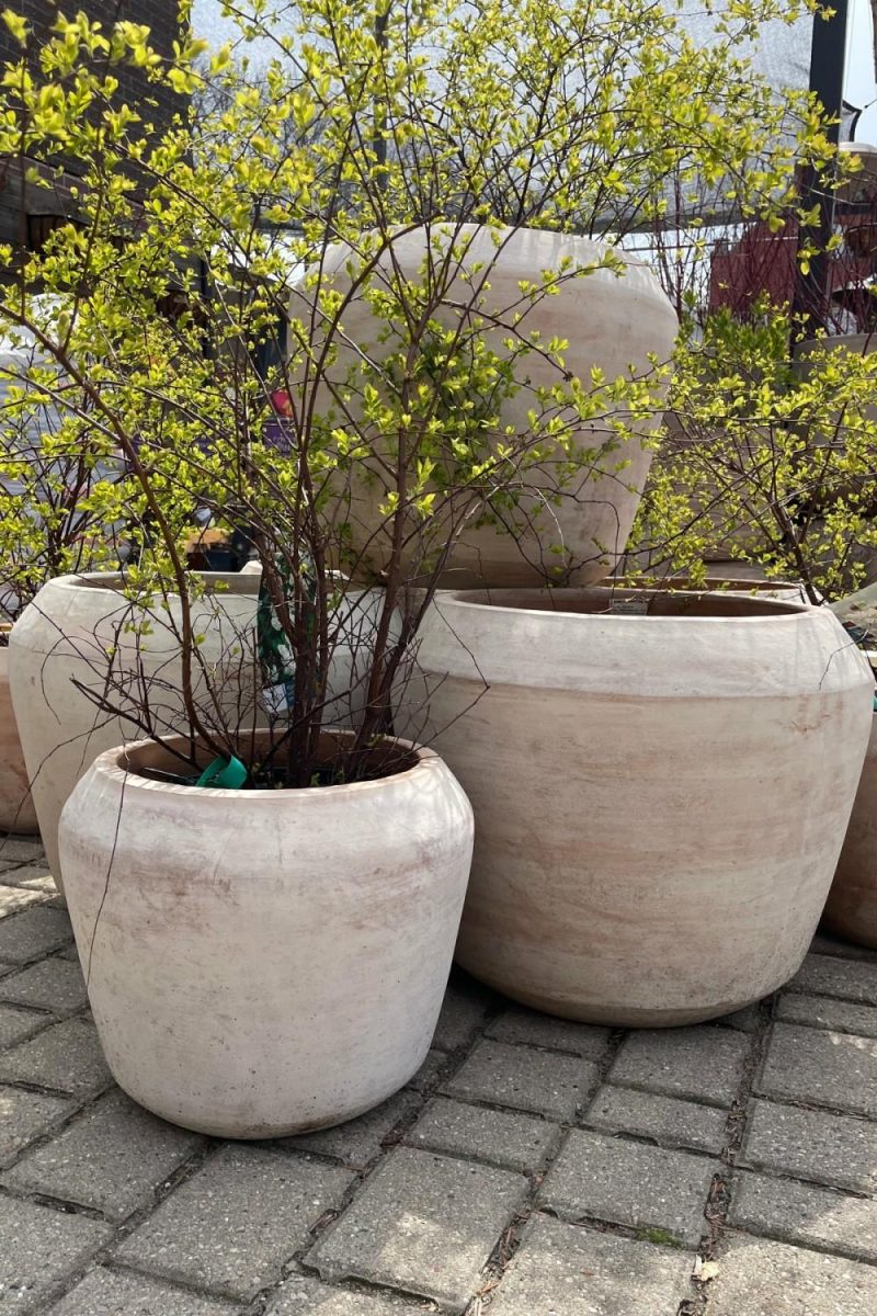 Planters |   Cape Unglazed Planter Large Garden Planters