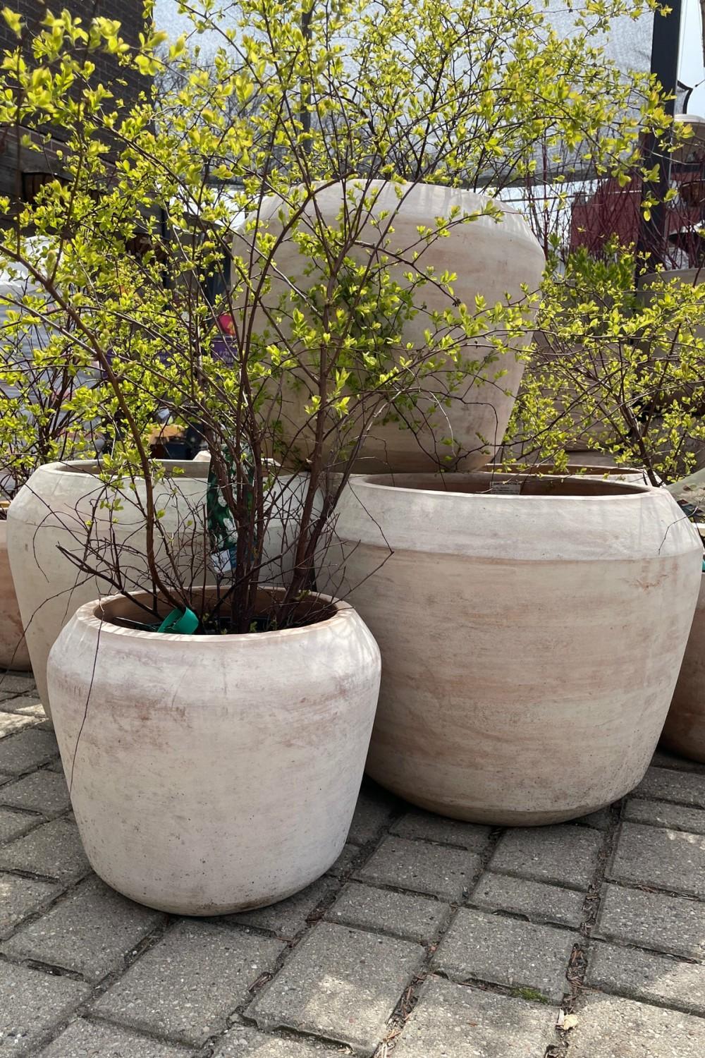 Planters |   Cape Unglazed Planter Large Garden Planters