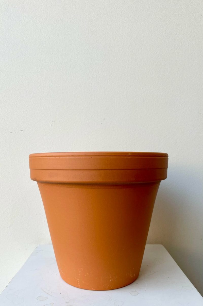 Planters |   Clay Pot Red 8″ Garden Planters