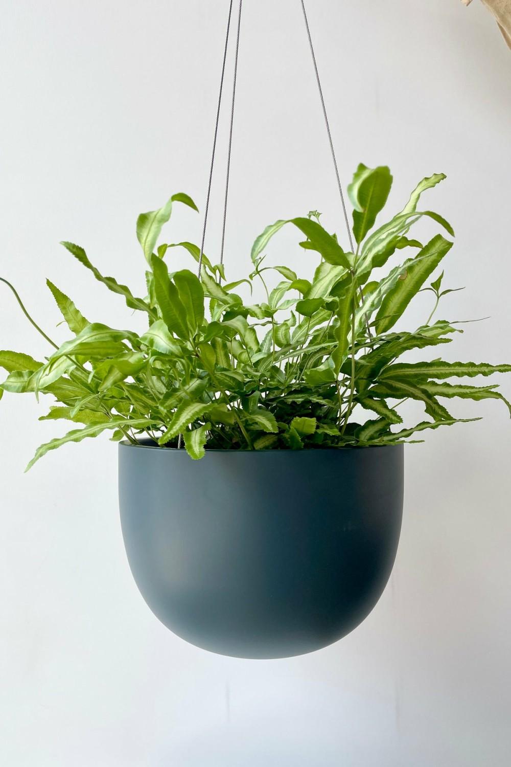 Planters |   Clifton Matte Deep Blue Hanging Pot Medium Garden Planters