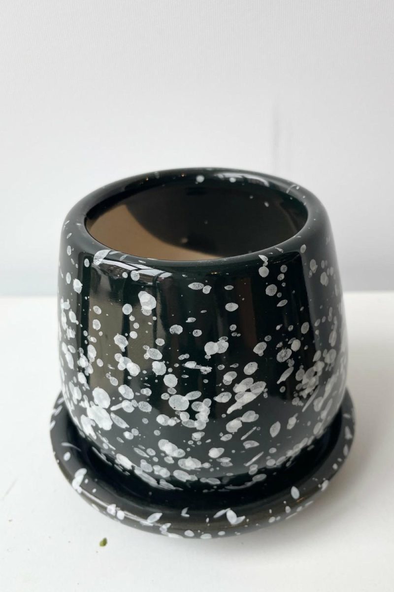 Planters |   Eggshell Small Planter Speckled Black Garden Planters