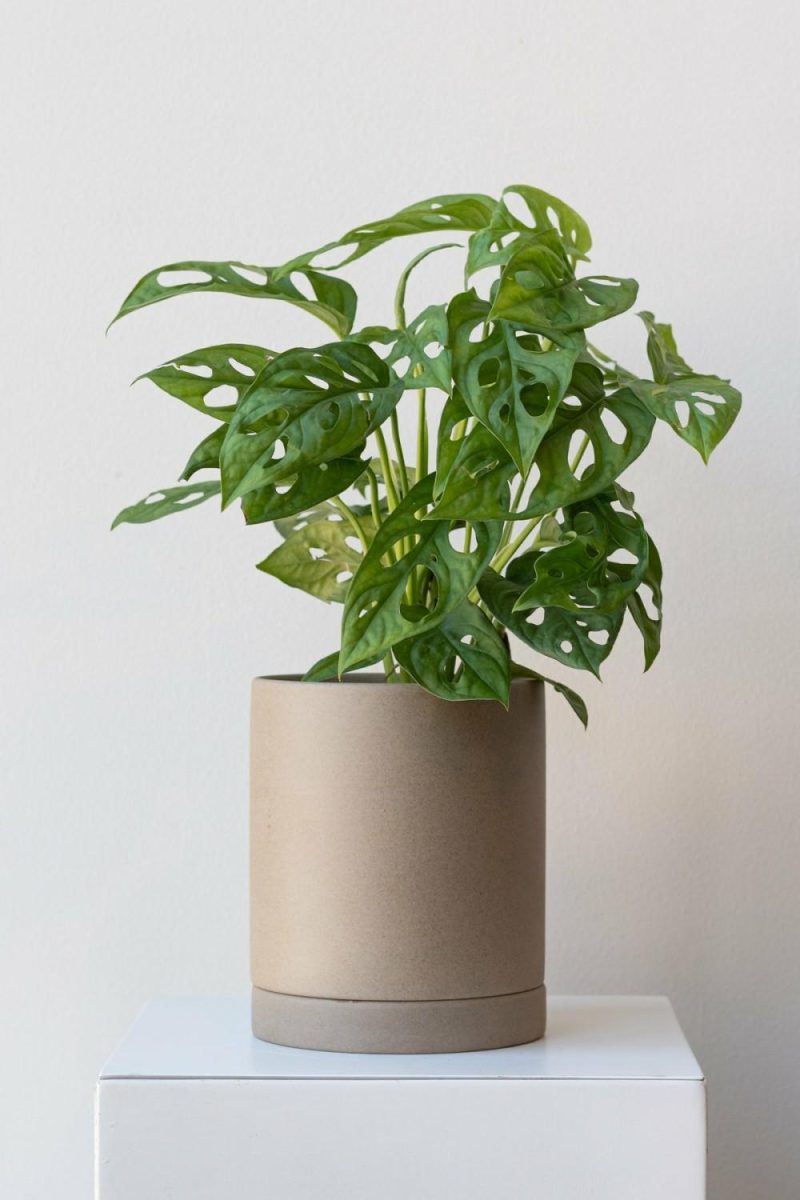 Planters |   Sekki Pot Sand Medium Garden Planters