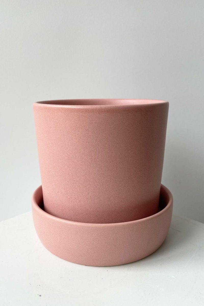 Planters |   Watson Pot & Saucer Pink Garden Planters