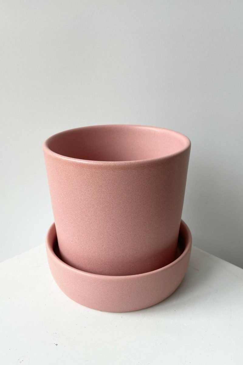 Planters |   Watson Pot & Saucer Pink Garden Planters