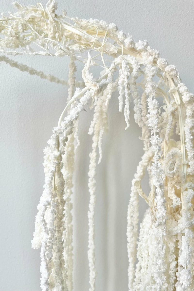 Preserved Floral |   Amaranthus Bleached Pastel Preserved Bunch Floral Preserved Floral