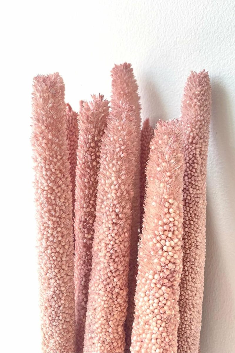 Preserved Floral |   Babala Muted Pink Pastel Preserved Bunch Floral Preserved Floral