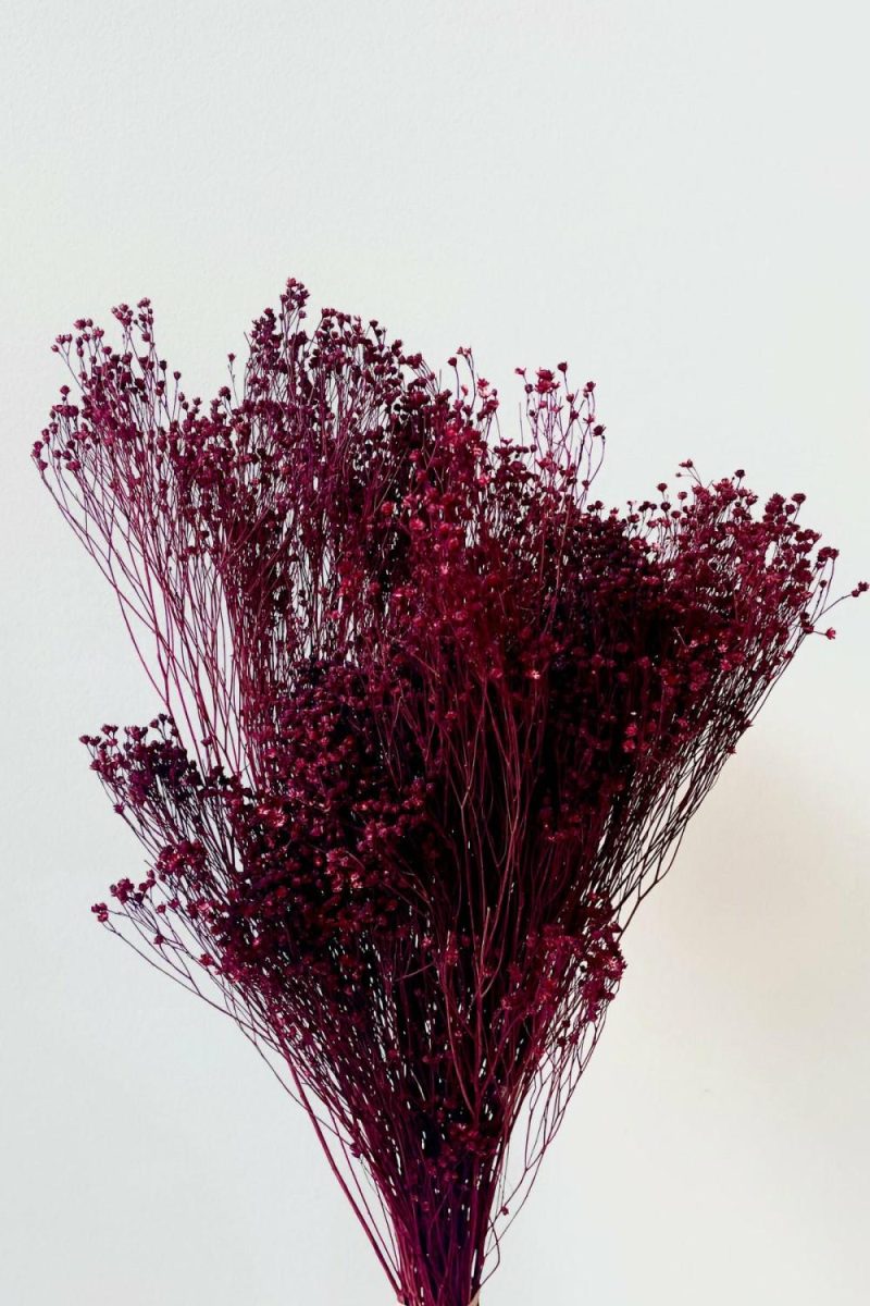 Preserved Floral |   Brooms Burgundy Color Preserved Bunch Floral Preserved Floral