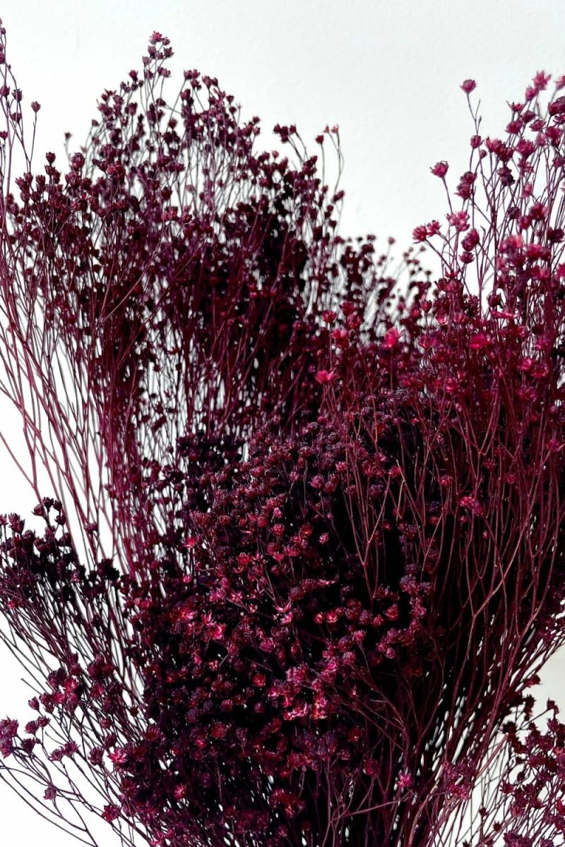 Preserved Floral |   Brooms Burgundy Color Preserved Bunch Floral Preserved Floral