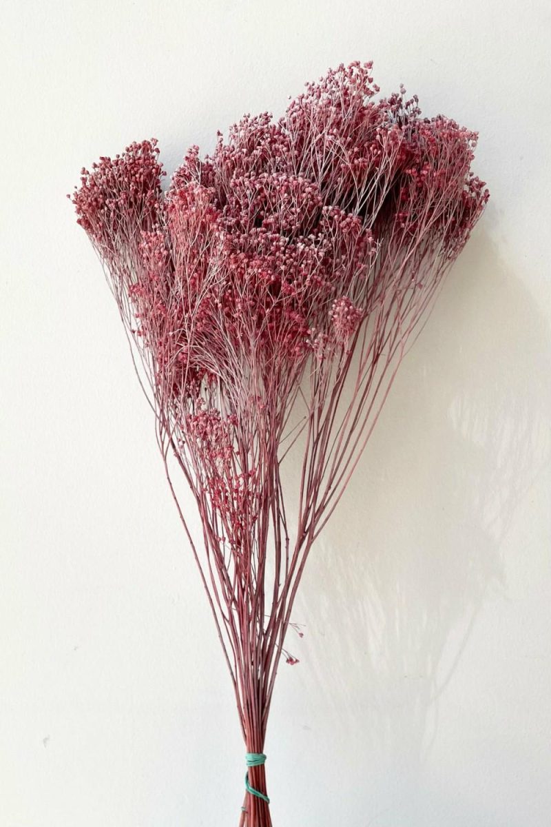 Preserved Floral |   Brooms Dusty Antique Rose Color Preserved Bunch Floral Preserved Floral