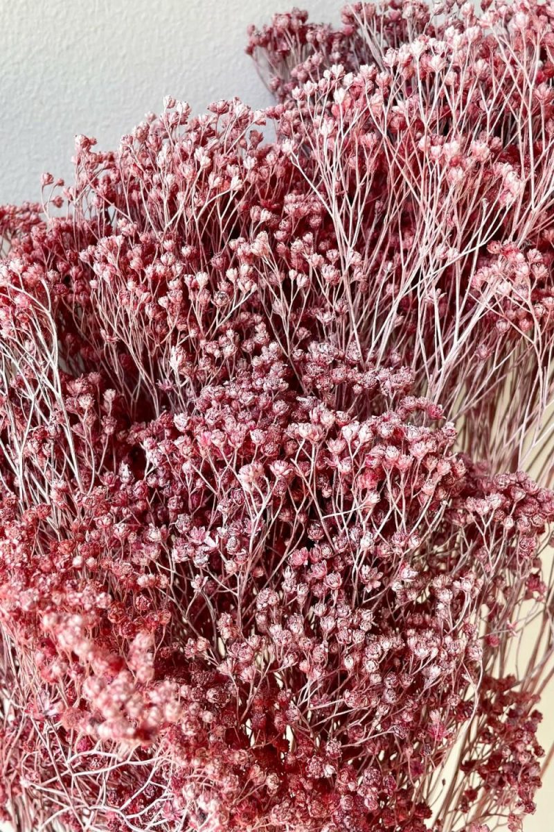 Preserved Floral |   Brooms Dusty Antique Rose Color Preserved Bunch Floral Preserved Floral