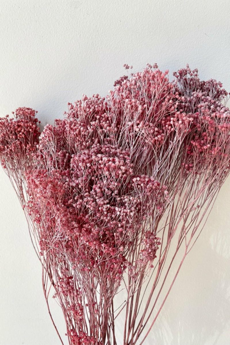 Preserved Floral |   Brooms Dusty Antique Rose Color Preserved Bunch Floral Preserved Floral