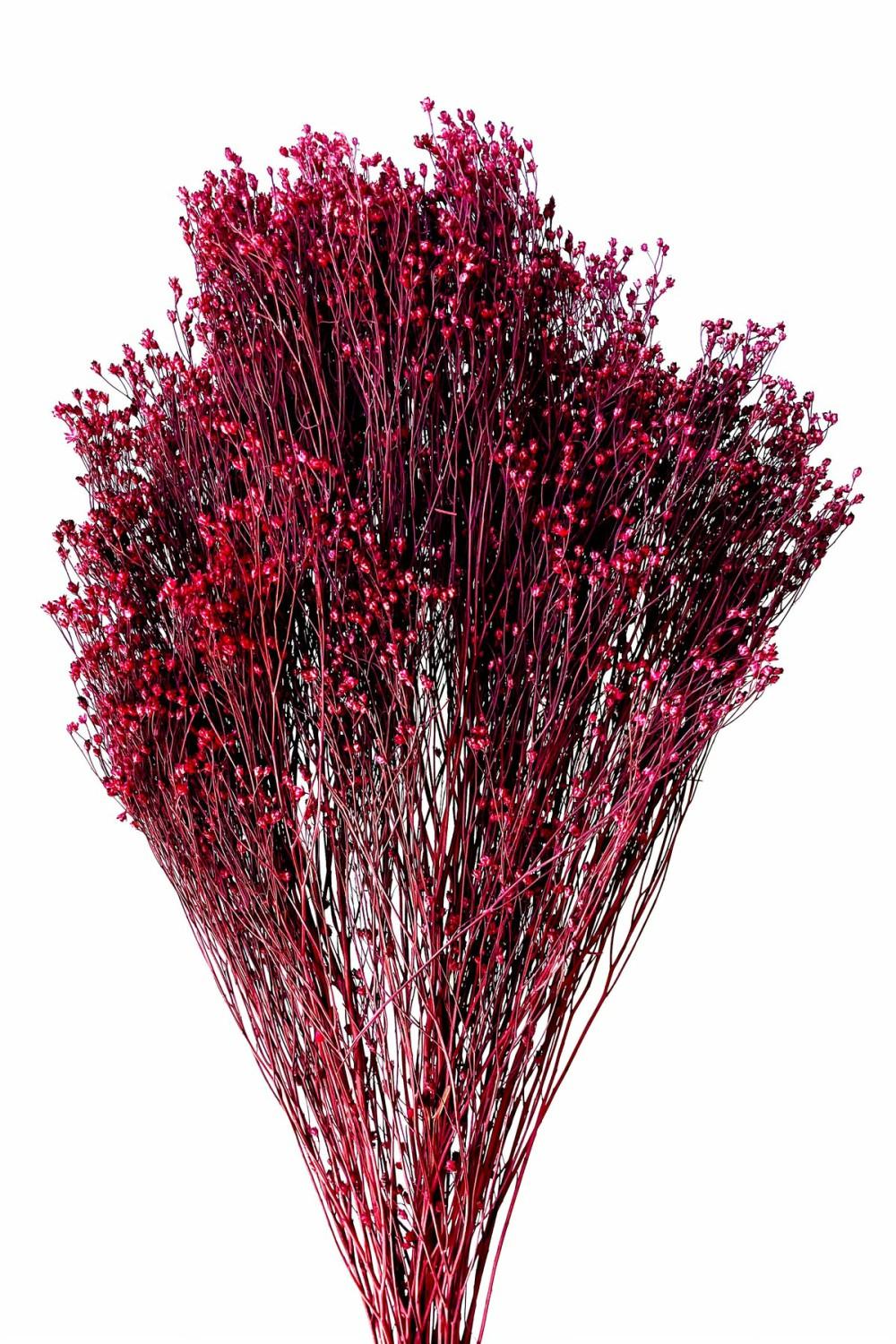 Preserved Floral |   Brooms Fuchsia Color Preserved Bunch Floral Preserved Floral