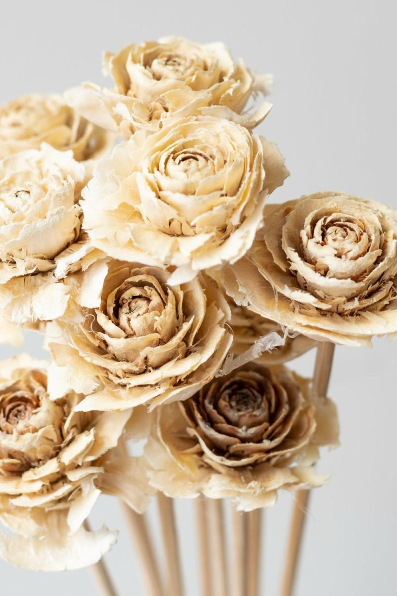 Preserved Floral |   Cedar Rose Bleached Pastel Preserved Bunch Floral Preserved Floral