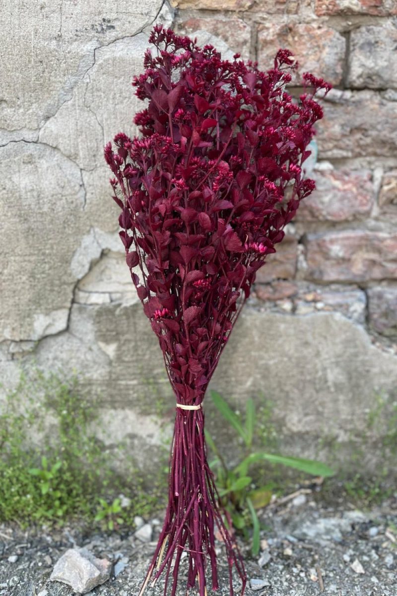 Preserved Floral |   Chuvisco Fuchsia Color Preserved Bunch Floral Preserved Floral