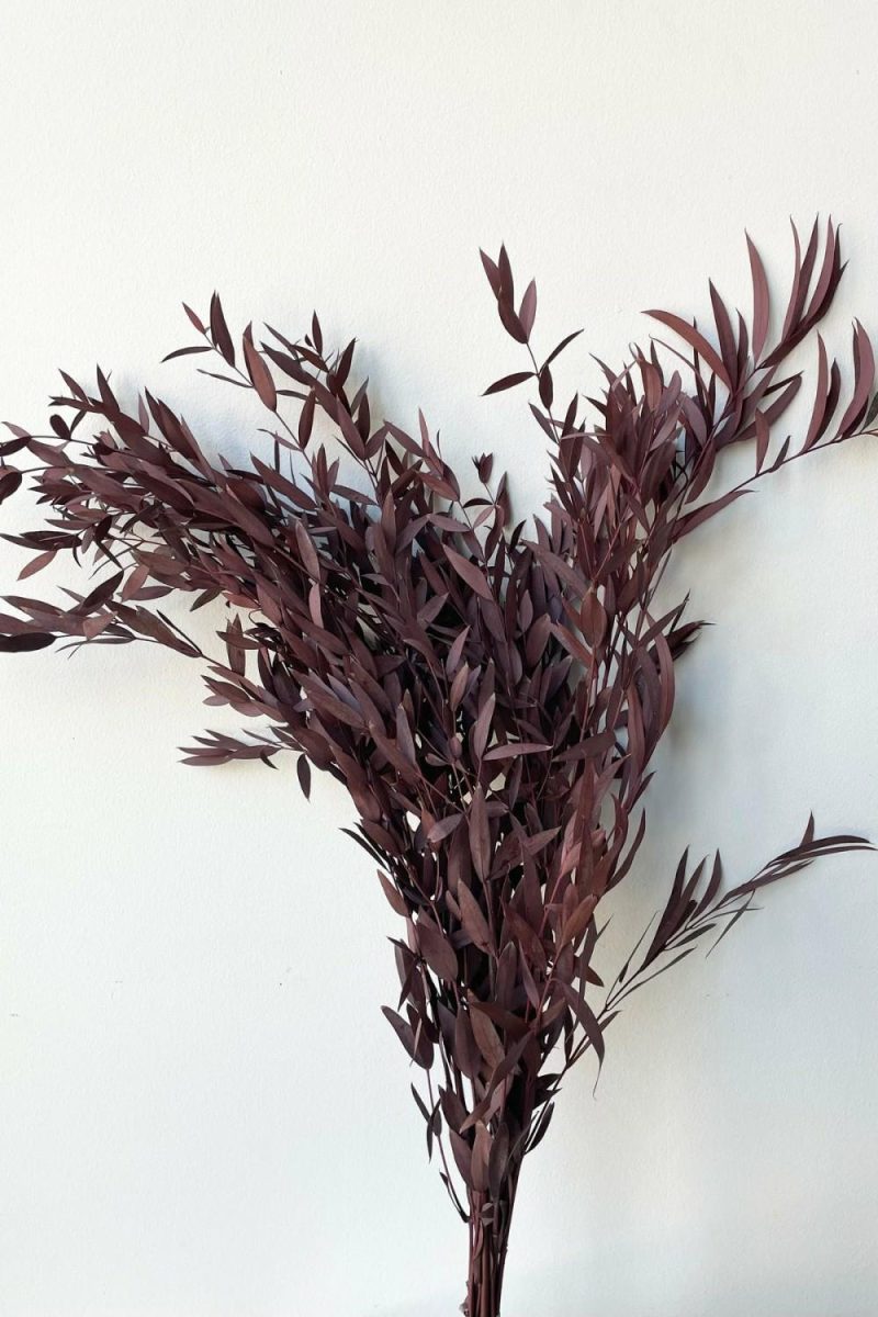 Preserved Floral |   Eucalyptus Parvifolia Burgundy Color Preserved Bunch Floral Preserved Floral