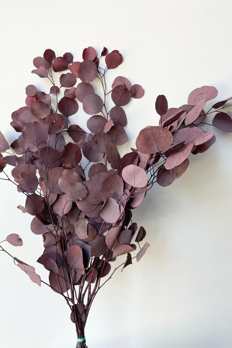 Preserved Floral |   Eucalyptus Populus Burgundy Color Preserved Bunch Floral Preserved Floral