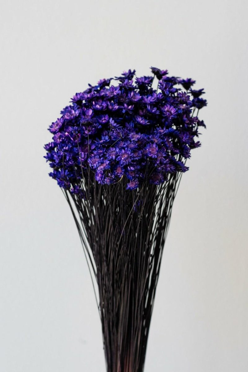 Preserved Floral |   Glixia Deep Violet Color Preserved Bunch Floral Preserved Floral