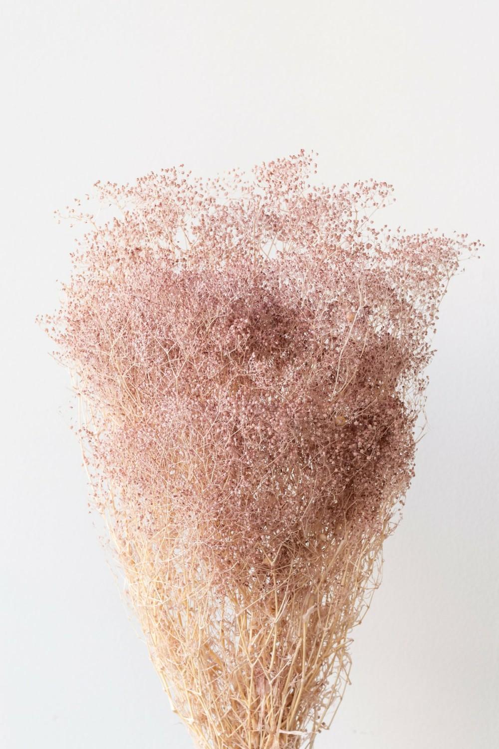 Preserved Floral |   Gypsophila Mini Pale Dark Pink Pastel Preserved Bunch Floral Preserved Floral