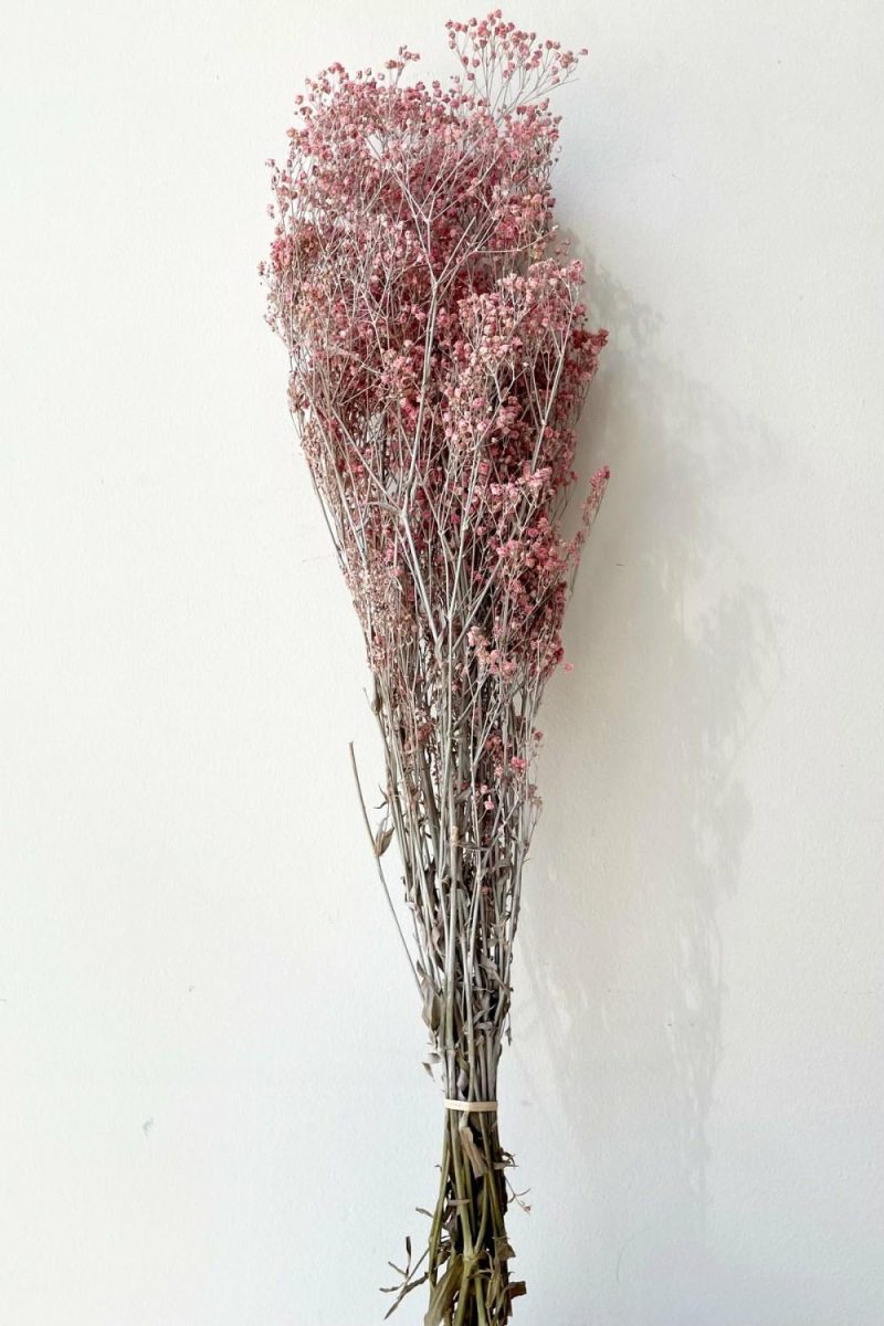 Preserved Floral |   Gypsophila Paniculata Dusty Fuchsia Color Preserved Bunch Floral Preserved Floral