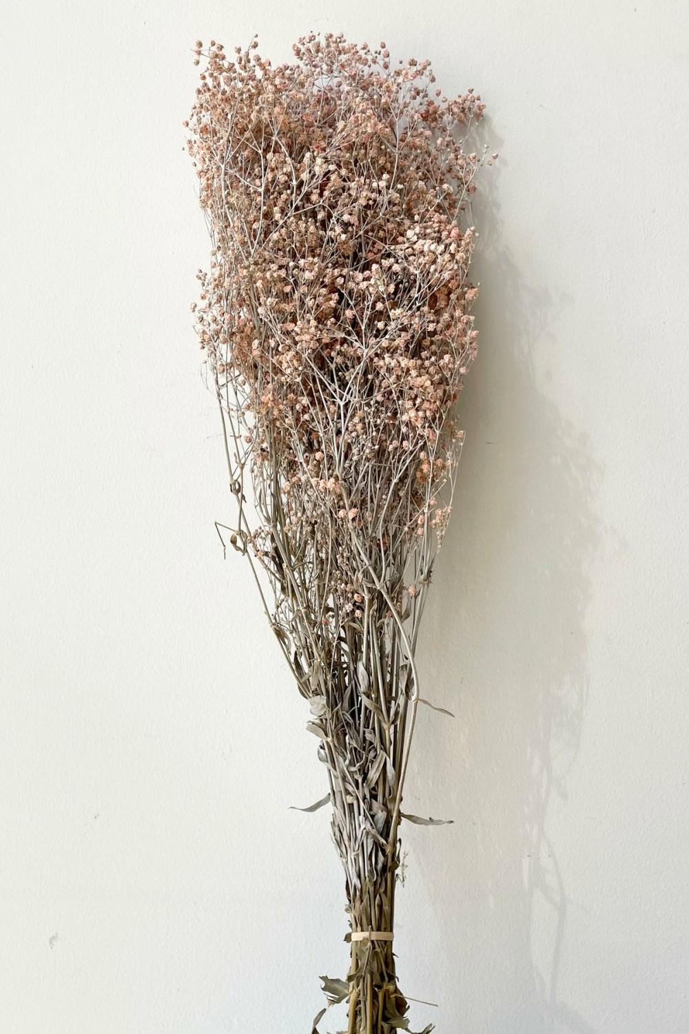 Preserved Floral |   Gypsophila Paniculata Dusty Pink Color Preserved Bunch Floral Preserved Floral