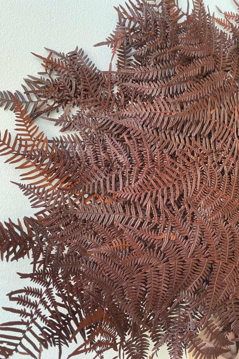 Preserved Floral |   Helecho Bracken Preserved Rust Color Bunch Floral Preserved Floral