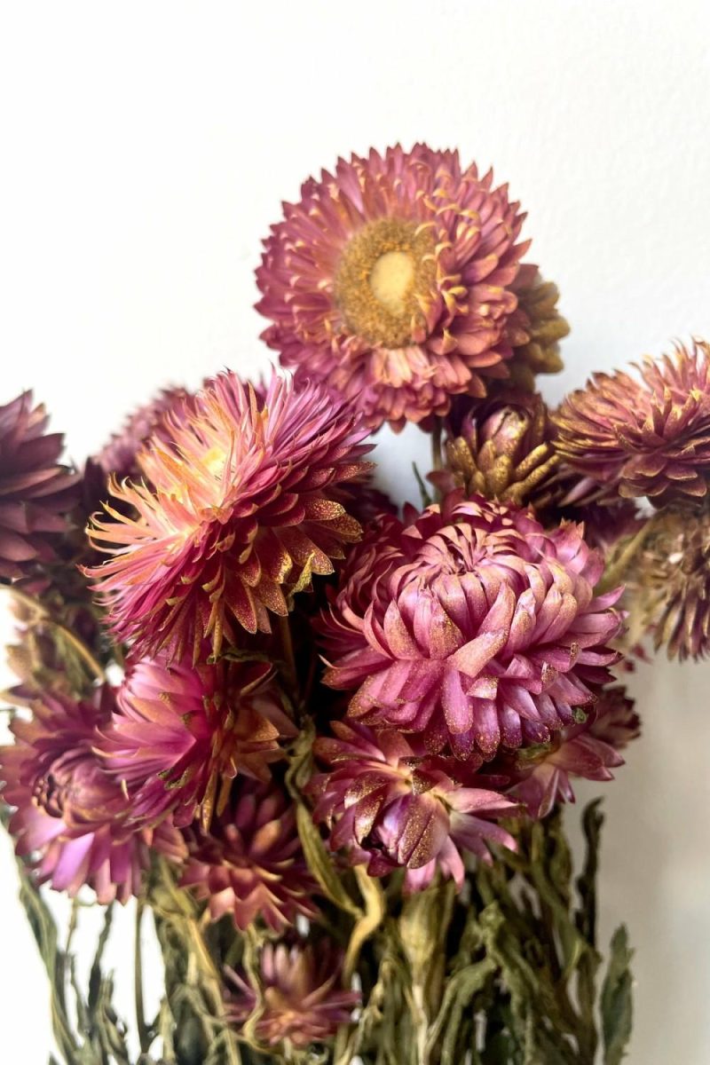 Preserved Floral |   Helichrysum Dusty Brick Color Preserved Bunch Floral Preserved Floral