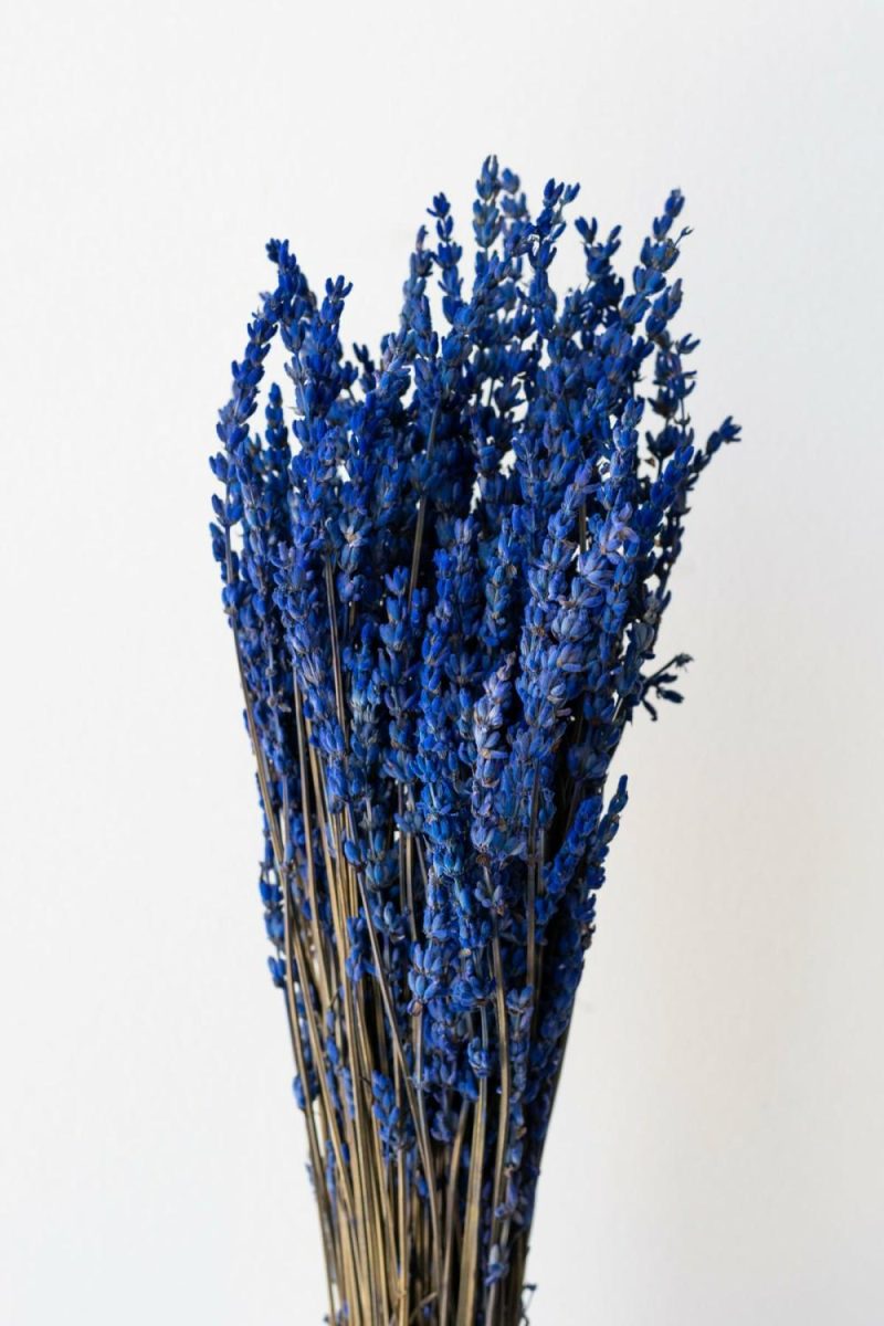 Preserved Floral |   Lavandula Indigo Preserved Bunch Floral Preserved Floral