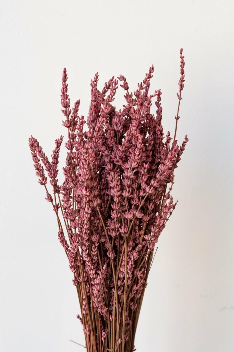 Preserved Floral |   Lavandula Light Pink Preserved Bunch Floral Preserved Floral