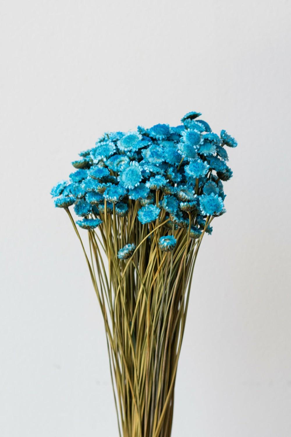 Preserved Floral |   Margaret Indigo Blue Color Preserved Bunch Floral Preserved Floral