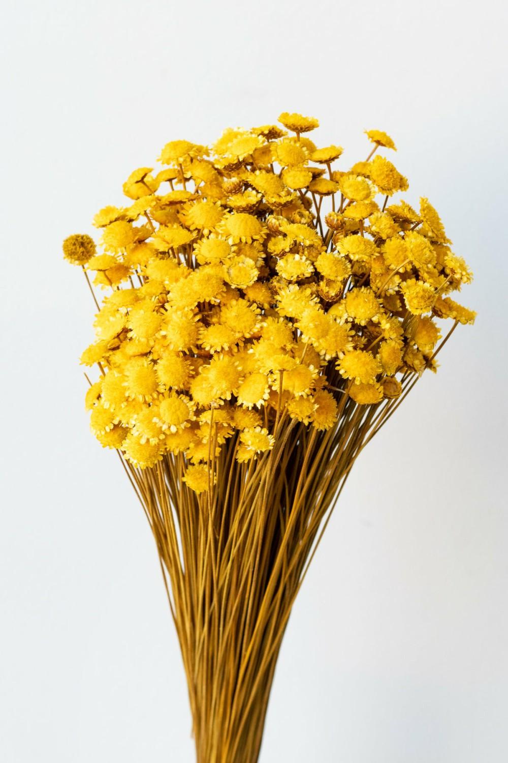 Preserved Floral |   Margaret Yellow Color Preserved Bunch Floral Preserved Floral