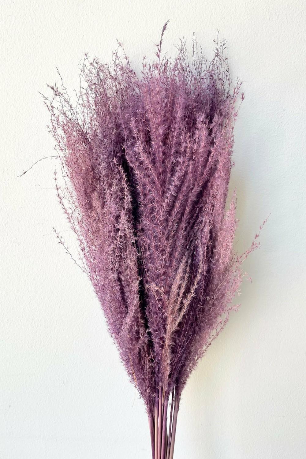 Preserved Floral |   Miscanthus Lavender Color Preserved Bunch Floral Preserved Floral