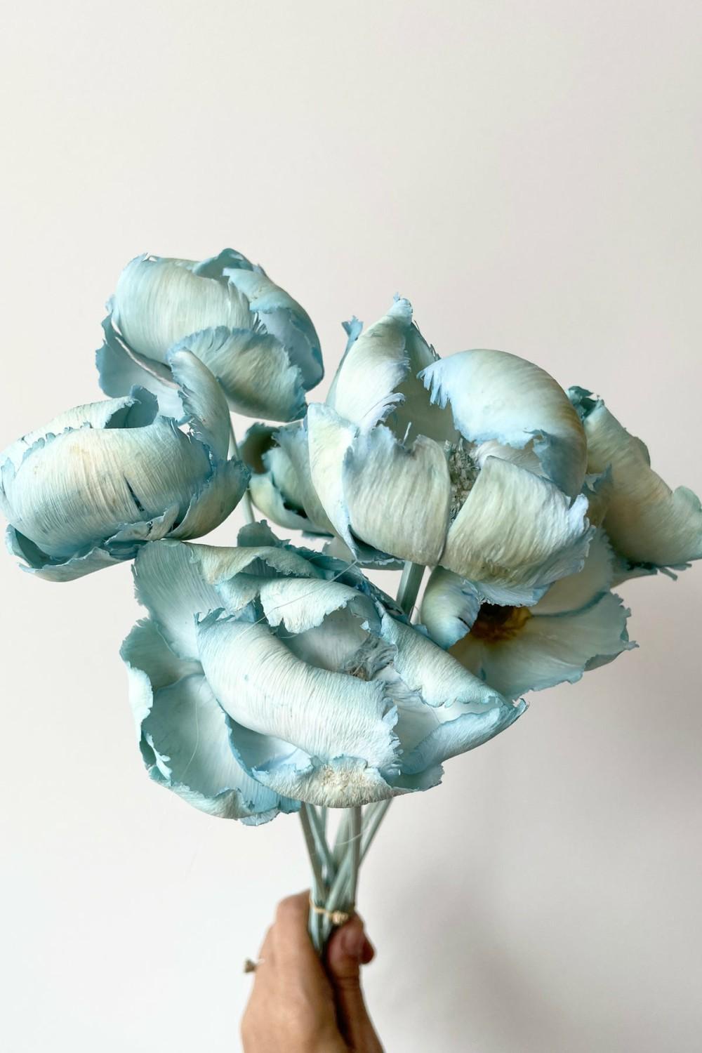 Preserved Floral |   Palm Cap Baby Blue Pastel Preserved Bunch Floral Preserved Floral